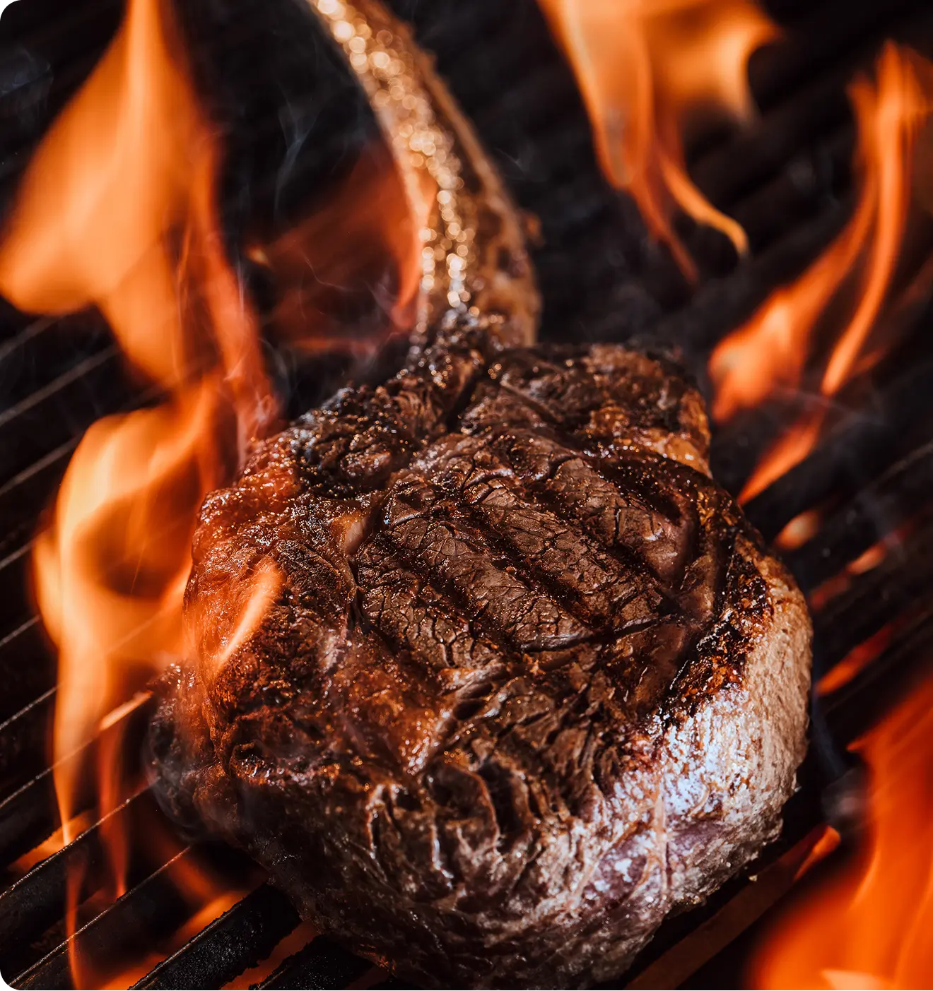 BONEFIRE customer review