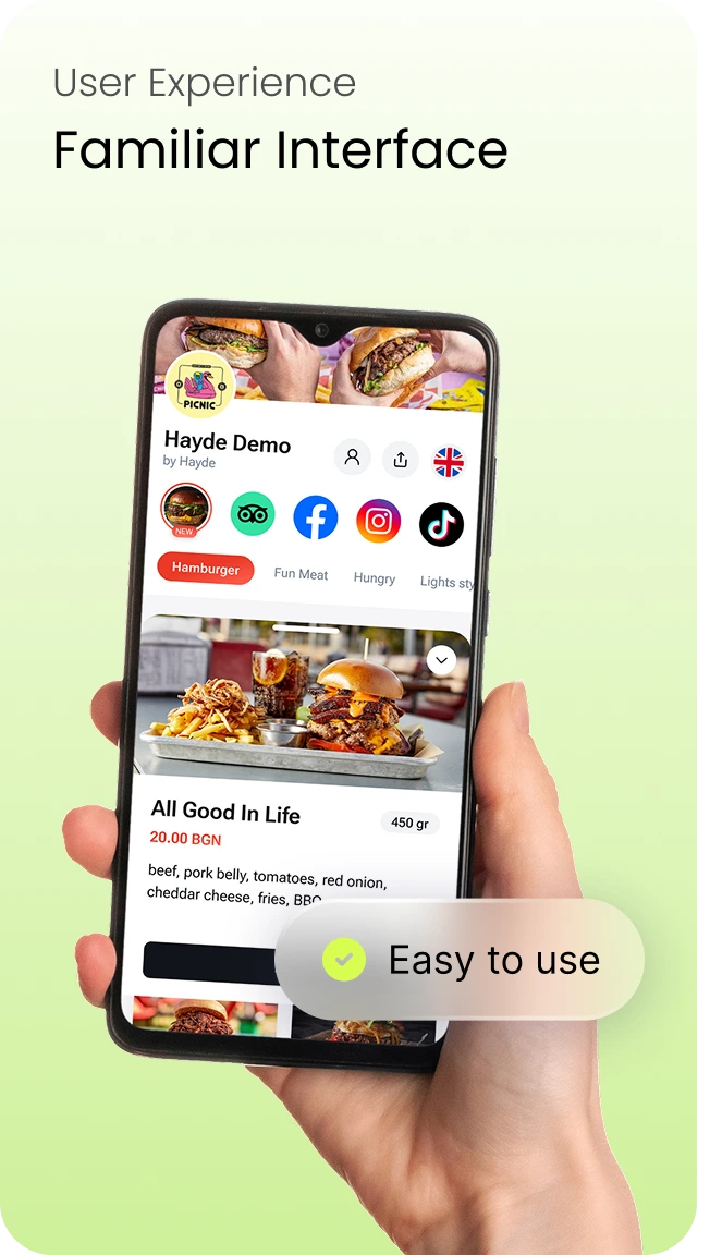 User Experience: familiar interface — a Hayde demo menu with dish photos and prices on a phone